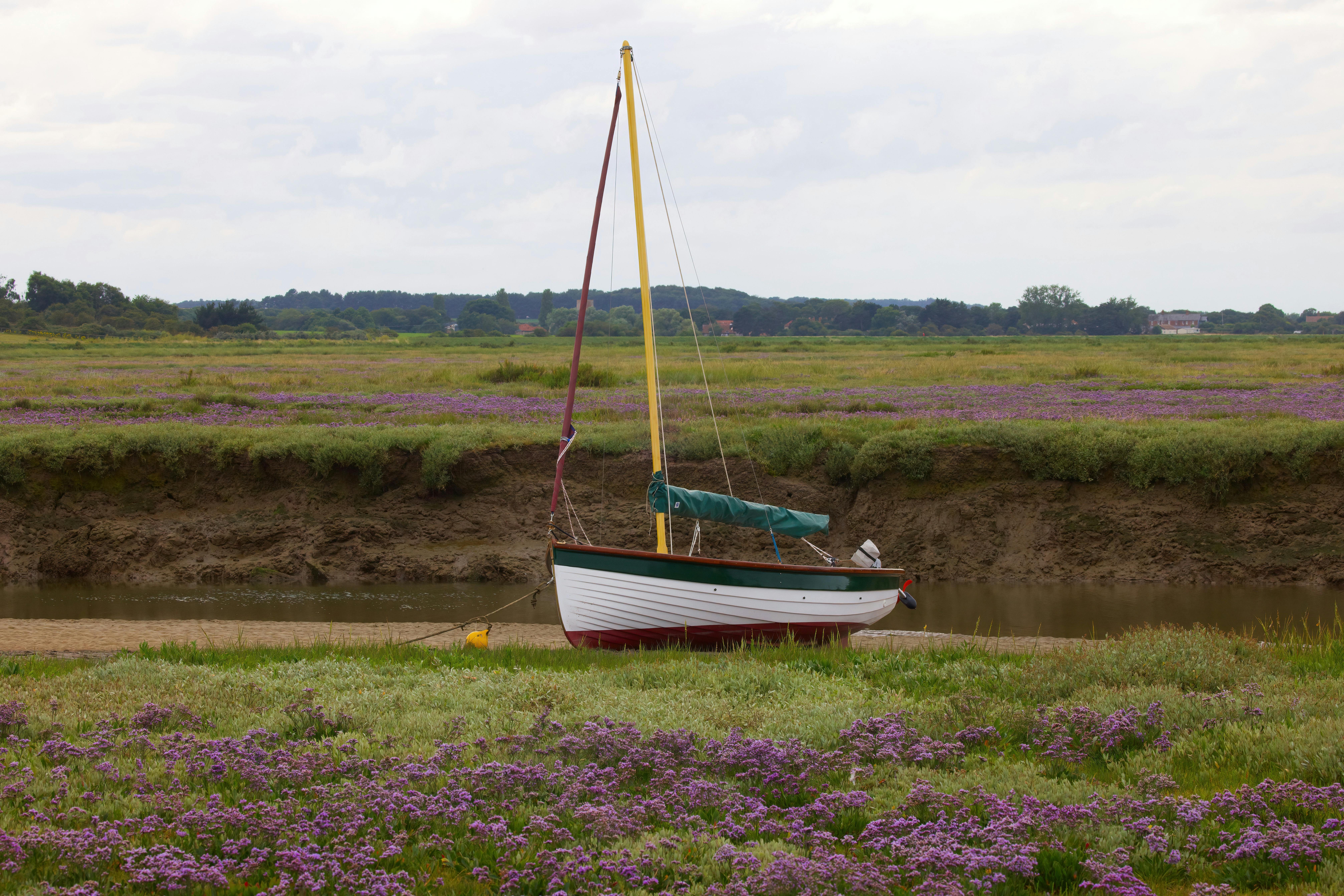 Norfolk Coast Travel Tips Blakeney Point