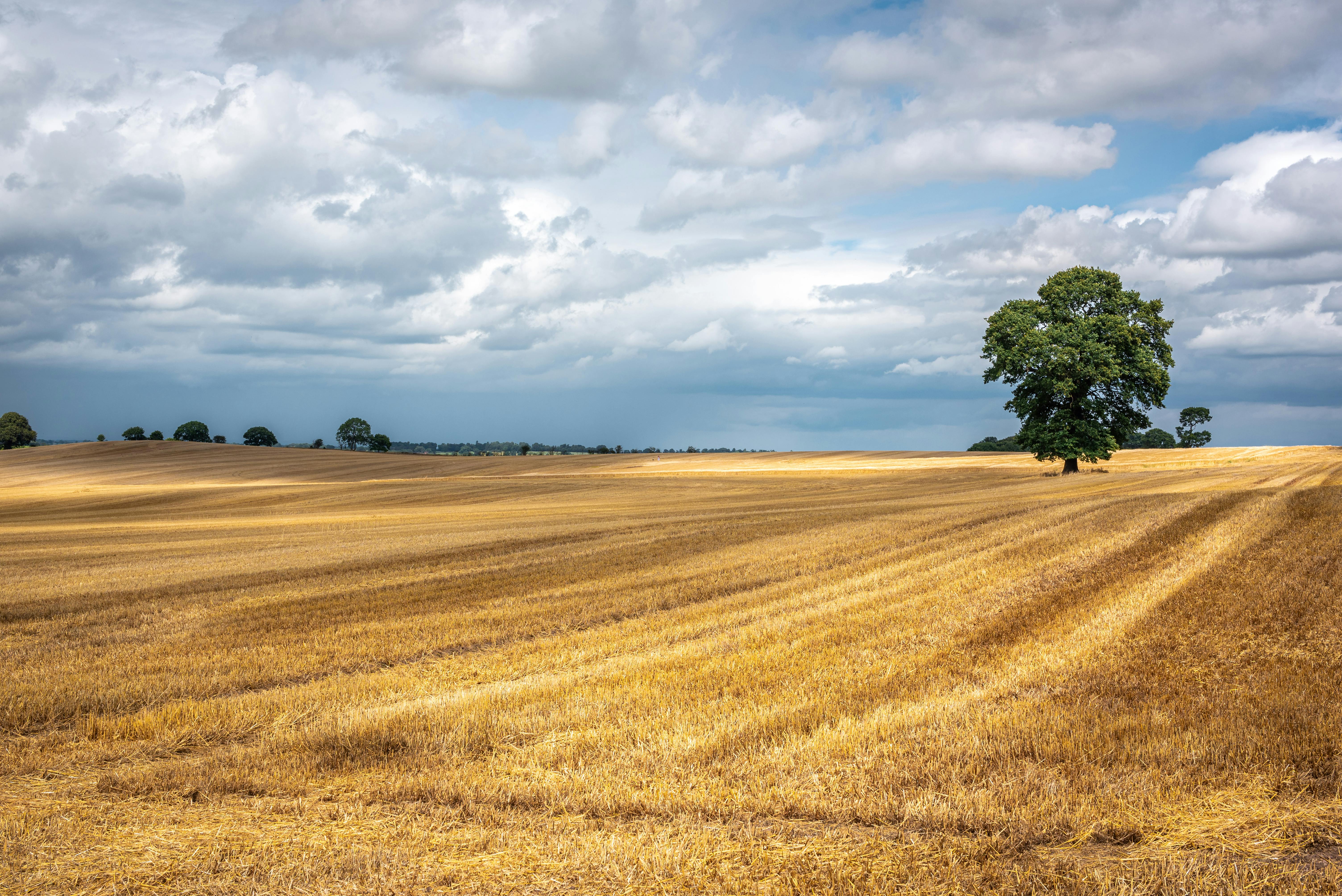 Budget UK Destinations scenic landscape of UK countryside