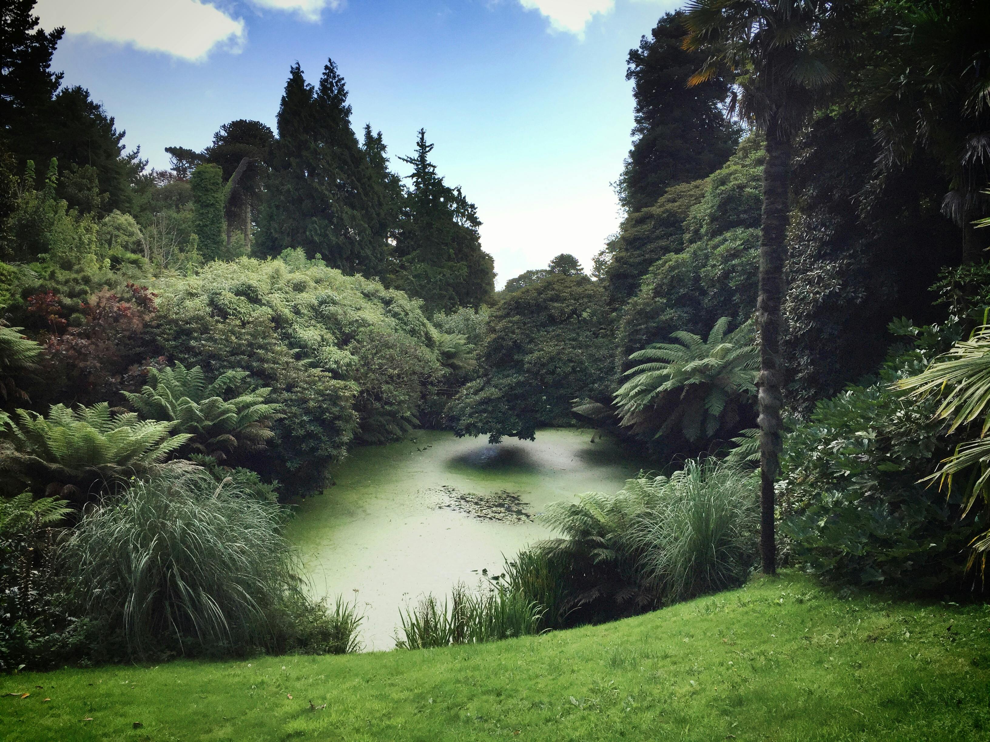 Cornwall Coastal & Seaside Escapes The Lost Gardens of Heligan